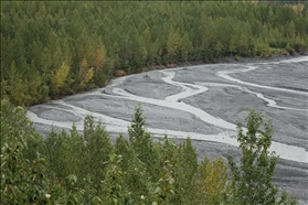 Exit Glacier